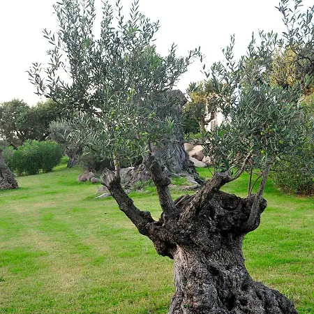 Le Rocce Antiche Θέρετρο