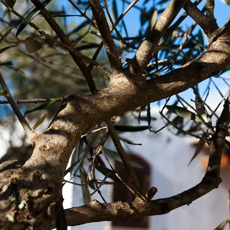 Le Rocce Antiche 4* SantʼAntìoco